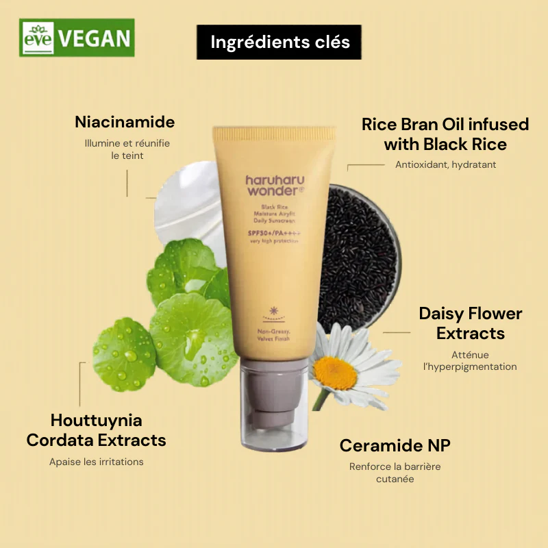 Black Rice Moisture Airyfit Daily Sunscreen - Image 4