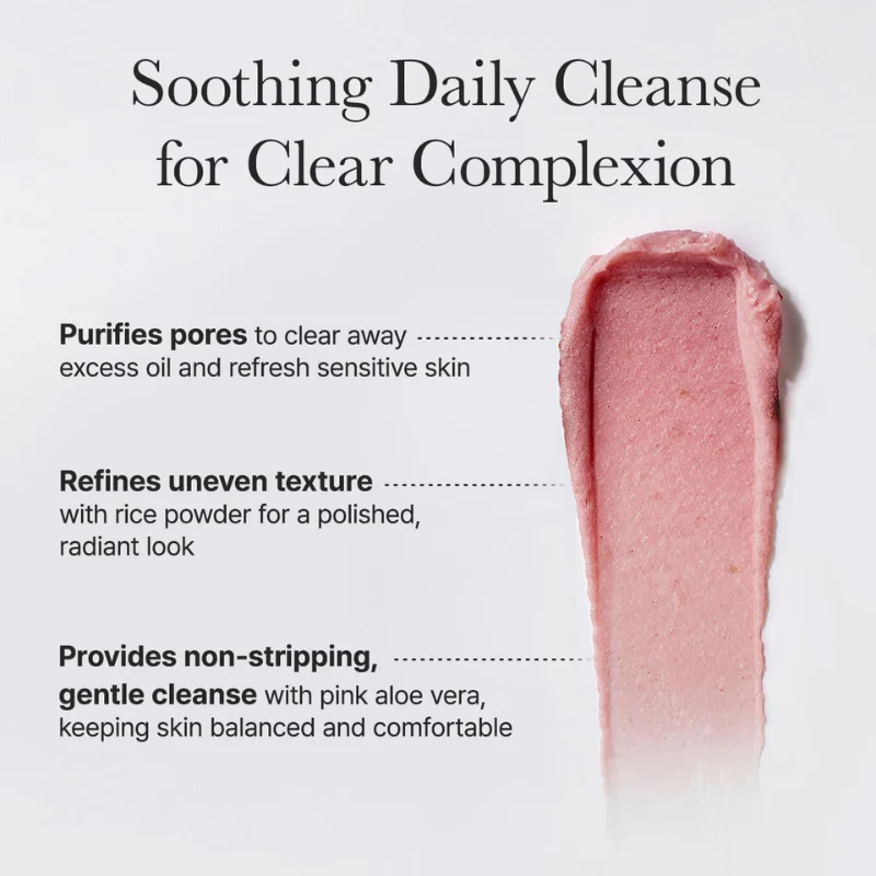 Fresh Rosehip Rice Mochi Cleanser - Image 5