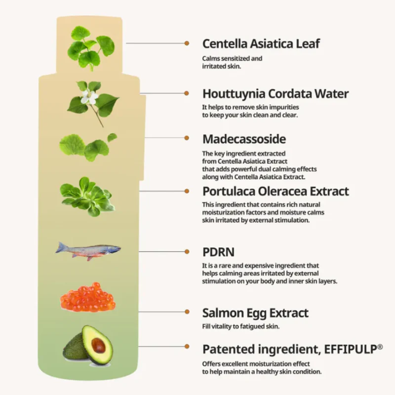 Salmon Caring Centella Toner - Image 4